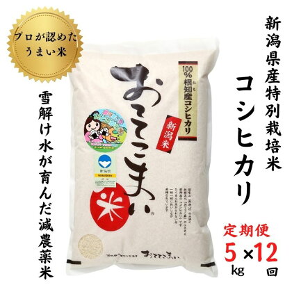 米 コシヒカリ【定期便】5kg(1袋)×12回毎月 計60kg 新潟県産 特別栽培米 「おててこまい」100%根知産 専門家お墨付き 令和5年産 産地直送 糸魚川 新潟県産コシヒカリ5kg 小田島建設 美味しい 農家自慢 お米 白米 おにぎり お弁当