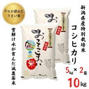 55位! 口コミ数「0件」評価「0」米 コシヒカリ5kg×2袋 10kg 新潟県産 特別栽培米「おててこまい」100%根知産 減農薬 専門家お墨付き 令和5年産 産地直送 糸魚･･･ 