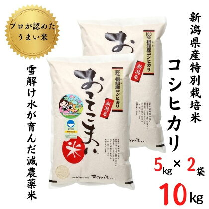 米 コシヒカリ5kg×2袋 10kg 新潟県産 特別栽培米「おててこまい」100%根知産 減農薬 専門家お墨付き 令和5年産 産地直送 糸魚川 小田島建設 美味しい 農家自慢 お米 白米 おにぎり お弁当