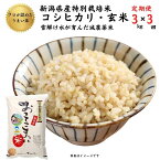 【ふるさと納税】米 コシヒカリ【玄米】3kg(1袋)×3回毎月 計9kg 特別栽培米 「おててこまい」100%根知産 減農薬 専門家お墨付き 令和5年産 産地直送 糸魚川 新潟県産コシヒカリ3kg 小田島建設 美味しい 農家自慢 お米 おにぎり 玄米 米 産地直送 お取り寄せ