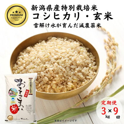 米 コシヒカリ【玄米】3kg(1袋)×9回毎月 計27kg 特別栽培米 「おててこまい」100%根知産 減農薬 専門家お墨付き 令和5年産 産地直送 糸魚川 新潟県産コシヒカリ3kg 小田島建設 美味しい 農家自慢 お米 おにぎり 玄米 米 産地直送 お取り寄せ