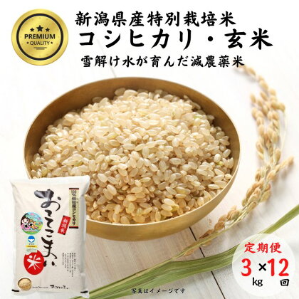 米 コシヒカリ【玄米】3kg(1袋)×12回毎月 計36kg 特別栽培米 「おててこまい」100%根知産 減農薬 専門家お墨付き 令和5年産 産地直送 糸魚川 新潟県産コシヒカリ3kg 小田島建設 美味しい 農家自慢 お米 おにぎり 玄米 米 産地直送 お取り寄せ