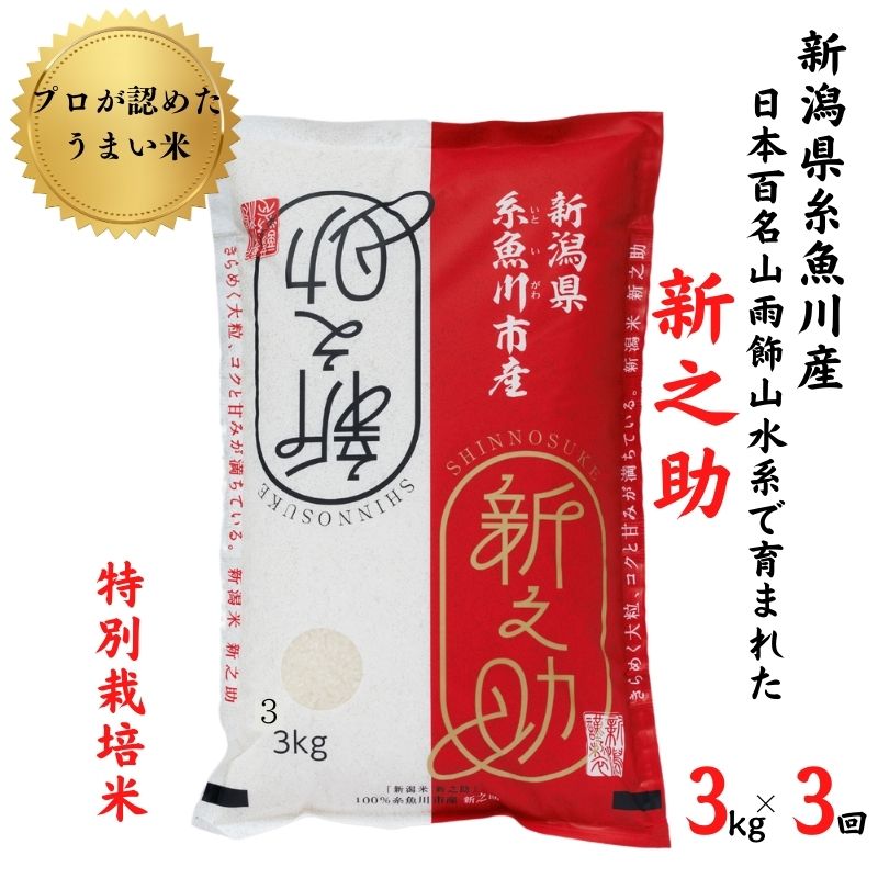 【ふるさと納税】新潟県産 新之助 3kg(1袋)×3回毎月 計9kg 農家直送 糸魚川 根知産 令和5年産 小田島建設