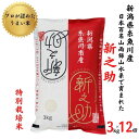 【ふるさと納税】新潟県産 新之助 3kg(1袋)×12回毎月 計36kg 農家直送 糸魚川 根知産 令和5年産 小田島建設 美味しい 農家自慢 お米 白米 おにぎり お弁当･･･