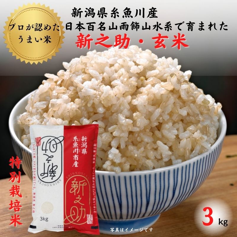 【ふるさと納税】新潟県産 新之助【玄米】3kg×1袋 農家直送 糸魚川 根知産 令和5年産 小田島建設 美味しい 農家自慢 お米 おにぎり お弁当