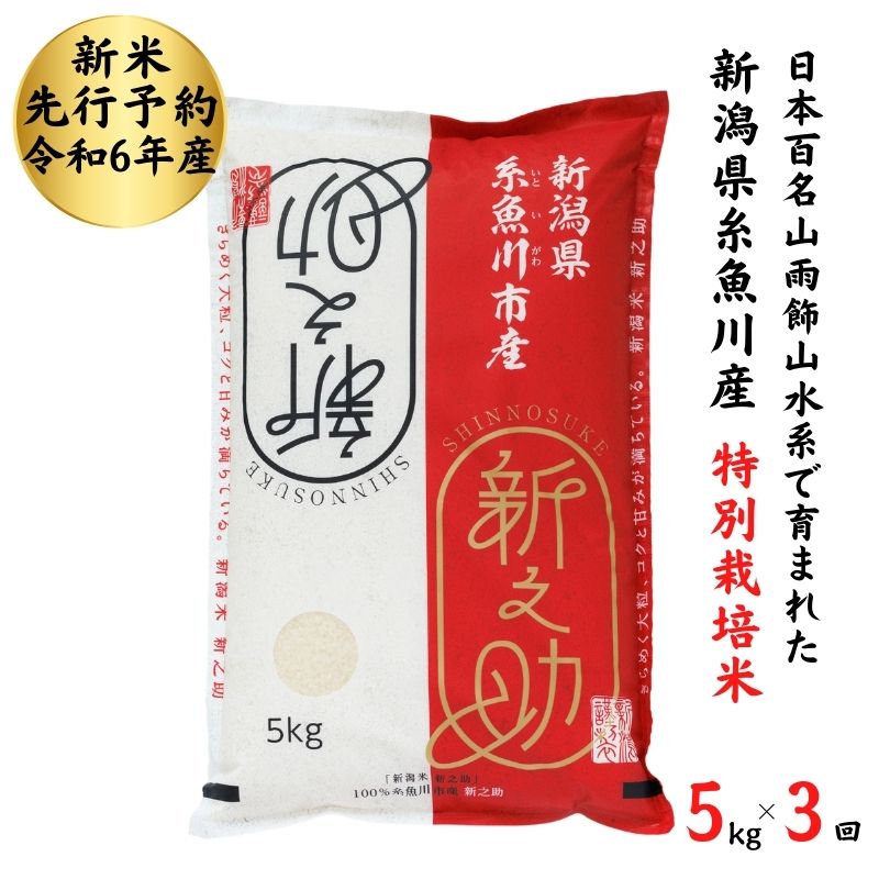 42位! 口コミ数「0件」評価「0」米 新米【令和6年産 新米先行予約】新之助 5kg(1袋)×3回毎月 計15kg 新潟県産 農家直送 糸魚川 根知産 令和6年産 小田島建設･･･ 