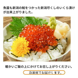 【ふるさと納税】イクラ いくらの醤油漬け 400g 鮭 日本海 最後の一滴 能水商店 糸魚川 糸魚川能水商店 画像2