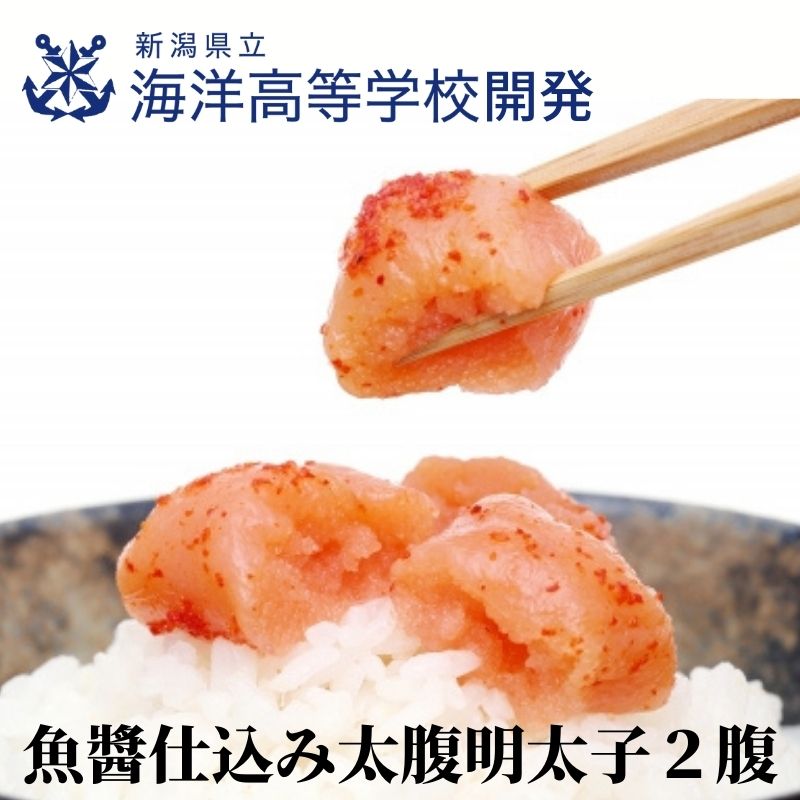 【ふるさと納税】新潟県立海洋高校開発魚醤仕込み『太腹明太子2腹』 明太子 高校生開発 鮭魚醬 糸魚川 能水商店 日本海 ご飯のお供のサムネイル