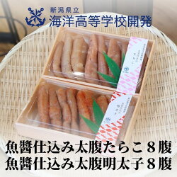 【ふるさと納税】新潟県立海洋高等学校開発　「魚醤仕込み太腹たらこ8腹・魚醤仕込み太腹明太子8腹」　能水商店　海洋高校　たらこ　明太子　ご飯のお供　糸魚川　高校生開発･･･ 画像1