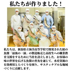 【ふるさと納税】新潟県立海洋高校開発魚醤仕込み『太腹明太子2腹』 明太子 高校生開発 鮭魚醬 糸魚川 能水商店 日本海 ご飯のお供 画像2