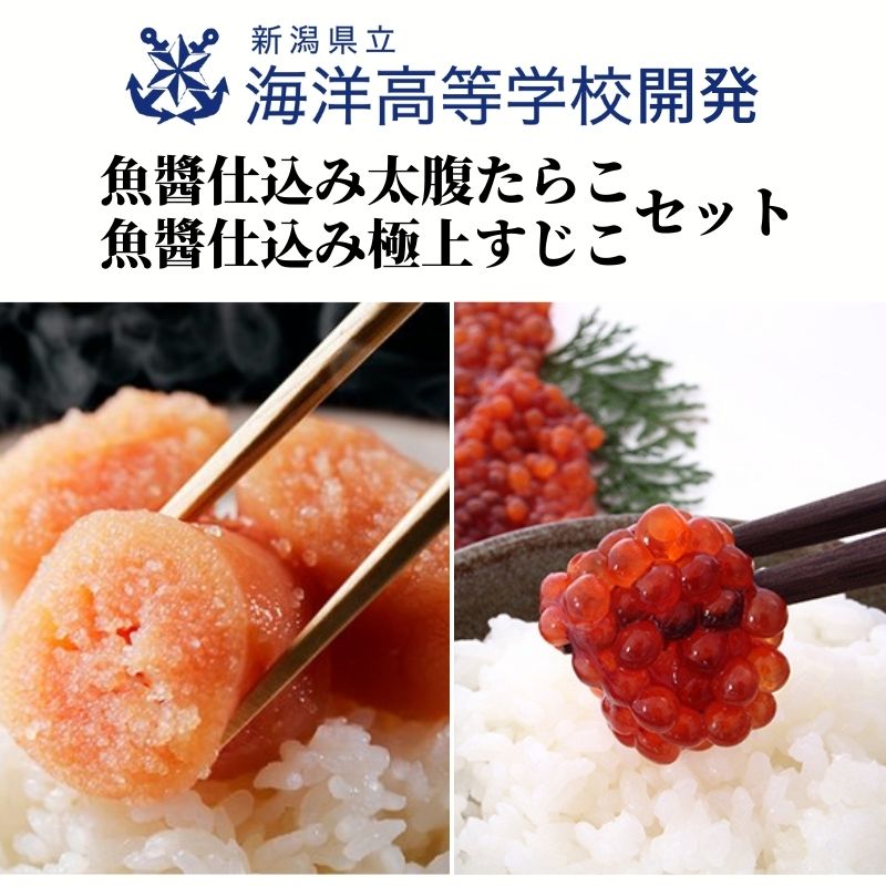 【ふるさと納税】新潟県立海洋高校開発魚醤仕込み『太腹たらこ5腹・魚醤仕込み極上すじこ250gセット』 たらこ すじこ 海洋高校 高校生開発 最後の一滴 ご飯のお供 能水商店 糸魚川 日本海のサムネイル
