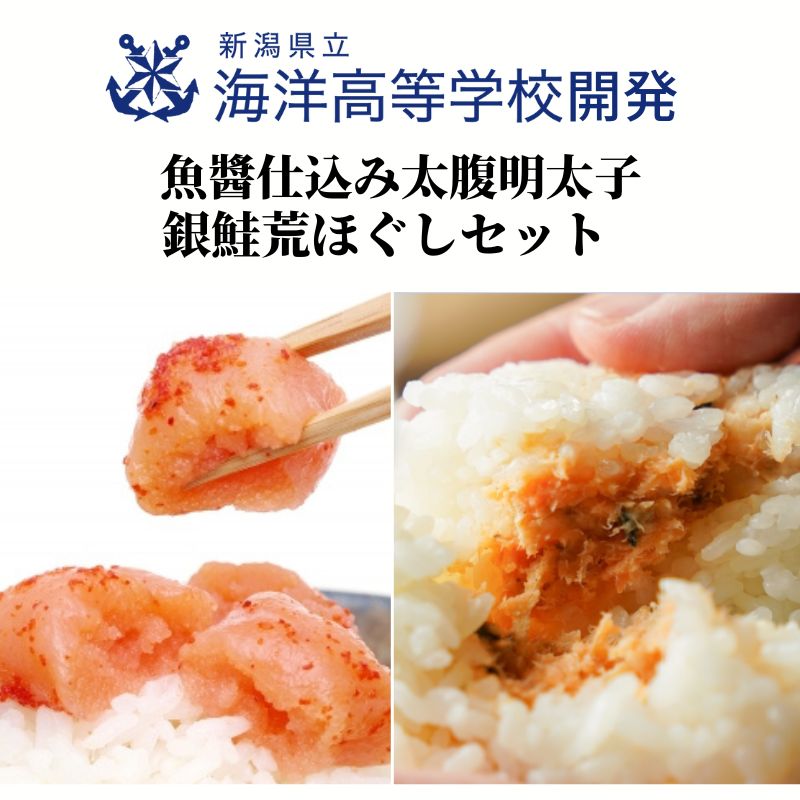 【ふるさと納税】新潟県立海洋高校開発魚醬仕込み『太腹明太子・銀鮭あらほぐしセット』 明太子 ほぐし 魚醬 海洋高校 糸魚川 能水商店