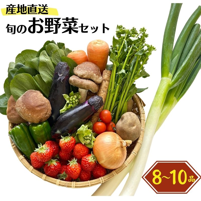 【ふるさと納税】旬の野菜セットを直売所からお届け! (8～1