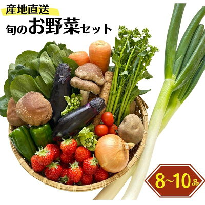 楽天ふるさと納税　【ふるさと納税】旬の野菜セットを直売所からお届け! (8～10品詰め合わせ) 大根・白菜・春菊・アスパラ菜・しいたけ・ほうれん草・ふきのとう・タラの芽・山菜・にんじん・イチゴ・トマト・きゅうり・ピーマン・ジャガイモ・玉ねぎ・枝豆・生きくらげ・長ネギ・里芋