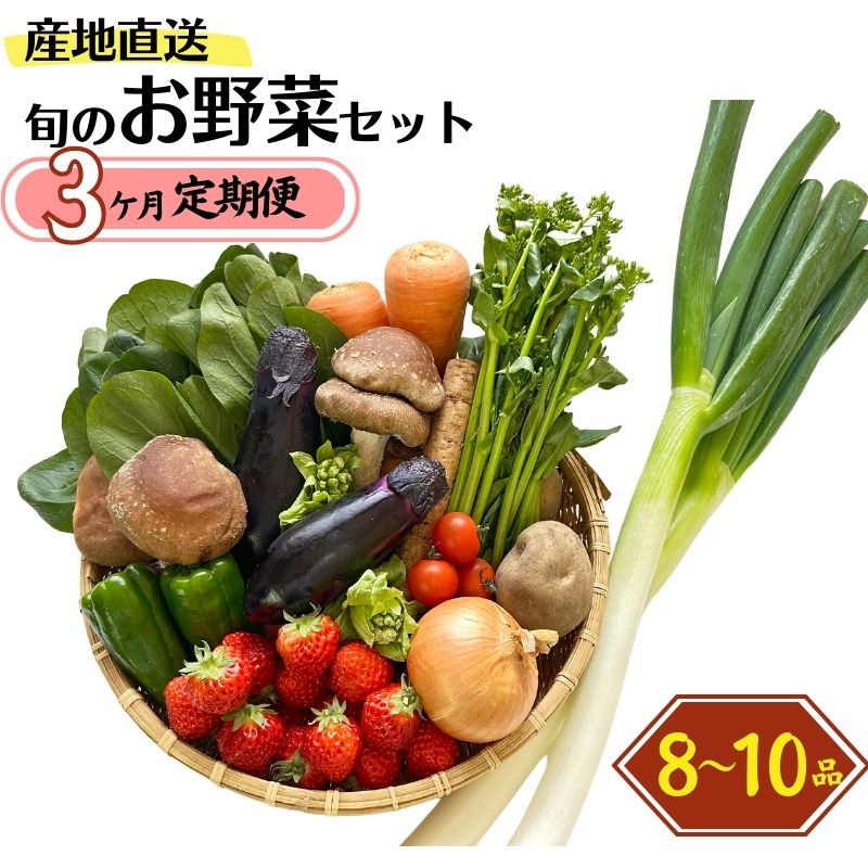 定期便[3回お届け]旬の野菜セットを直売所からお届け ! (8〜10品詰め合わせ) 大根・白菜・春菊・アスパラ菜・しいたけ・ほうれん草・ふきのとう・タラの芽・山菜・にんじん・イチゴ・トマト・きゅうり・ピーマン・ジャガイモ・玉ねぎ・長ネギ・里芋