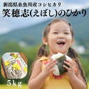 【ふるさと納税】新潟県産コシヒカリ5kg 令和5年産『笑穂志(えぼし)のひかり』真空パック 特別栽培米 豊かな自然が育んだうまい米 Uファーム 新潟米 農家自慢 糸魚川 安心して食べられる米 ふっくらもちもち 美味しい米 農家直送 精米 白米 おにぎり お弁当 米 こしひかり5kg･･･