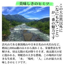 【ふるさと納税】米 白米 米5kg 新潟県産コシヒカリ5kg令和5年産『笑穂志(えぼし)のひかり』真空パック 特別栽培米 豊かな自然が育んだうまい米 Uファーム 新潟米 農家自慢 糸魚川 新潟 安心して食べられる米 ふっくらもちもち 農家直送 精米 おにぎり 弁当 こしひかり5kg･･･ 画像2