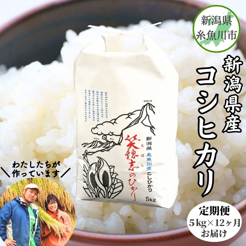 米 白米 米5kg 【定期便】新潟県産コシヒカリ『笑穂志(えぼし)のひかり』5kg×12回 毎月お届け 全60kg(紙袋入り) 令和5年産 U'ファーム コメ こしひかり 糸魚川産 2023年産 食品 人気 おすすめ 12か月 12ヵ月 12ヶ月 おにぎり 弁当 こしひかり5kg kosihikari