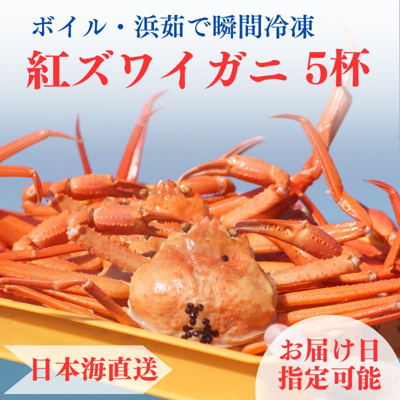 【ふるさと納税】紅ズワイガニ×5杯 計2.3kg前後 日本海直送！浜茹で瞬間冷凍 指定日可能 ずわいがに 姿 新潟県糸魚川 マリンドリーム 能生 カニ屋横丁から ボイル 海鮮 紅ずわい 国産 ゆで蟹 お取り寄せグルメ 【能登半島地震復興支援】