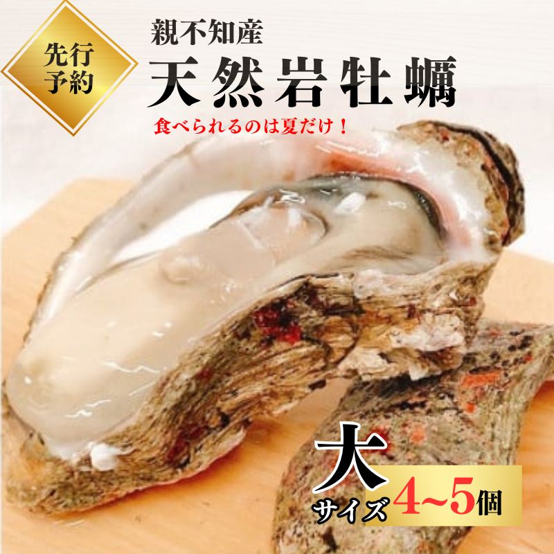 [先行予約]親不知産 天然岩牡蠣(生食用) 大サイズ4〜5個 2025年7月20日以降順次発送 鮮度抜群! 水揚げ直後に発送 日本海 かき カキ 岩ガキ 水揚げ直後に発送 親不知産 糸魚川 親不知おさかなセンター 牡蠣 新潟県 期間限定 産地直送 生牡蠣 国産