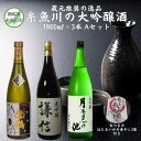 【ふるさと納税】蔵元推奨の逸品 【糸魚川の大吟醸酒3本Aセット（おつまみ「ほたるいかの素干し3袋」付き）】飲み比べセット 新潟 にいがた 大吟醸 雪鶴 ゆきつる 謙信 けんしん 月不見の池 つきみずのいけ おつまみ付き 蔵元推奨