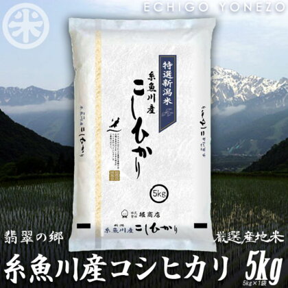 米 白米 米5kg 新潟県産コシヒカリ5kg 令和5年産 名水と翡翠の郷 糸魚川 厳選産地米 ギフト 米 おもたせ 贈答 内祝 御祝 御中元 御歳暮 gift kome niigata itoigawa koshihikari こしひかり5kg 米どころ新潟 農家自慢 新潟米 精米 おにぎり お弁当 精米