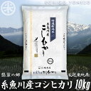 【ふるさと納税】米 白米 米10kg 新潟県産コシヒカリ10kg (5kg×2袋) 令和5年産 名水と翡翠の郷 糸魚川 厳選産地米 ギフト おもたせ 贈..