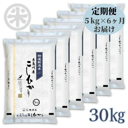 米 白米 米5kg【定期便】新潟県産コシヒカリ 5kg×6回 毎月お届け 計30kg 令和5年産 名水と翡翠の郷糸魚川 厳選産地米 ギフト 内祝 御祝 御中元 御歳暮 gift kome niigata koshihikari コシヒカリ5kg 新潟米 おにぎり お弁当 精米 6ヶ月定期便 農家自慢