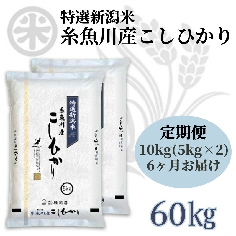 【ふるさと納税】6ヶ月定期便【令和5年産新米】新潟県産コシヒカリ10kg(5kg×2袋)×6回 毎月お届け 計60kg 名水と翡翠の郷糸魚川 厳選産地米 ギフト 内祝 御祝 御中元 御歳暮 gift kome niigata itoigawa koshihikari 新潟県産コシヒカリ10kg 新潟米 白米 おにぎり お弁当･･･