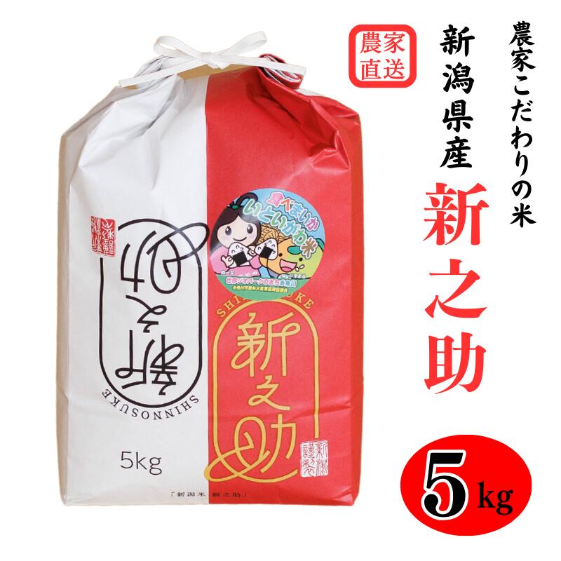 米 新之助 白米[令和5年産]5kg×1袋 新潟県 糸魚川産 艶コクと甘みあふれる米 真心こめて作った自信作 農家直送 大山農場 糸魚川産 お取り寄せ しんのすけ お弁当 おにぎり 新潟米 ほんのり甘い きらめく大粒 米どころ