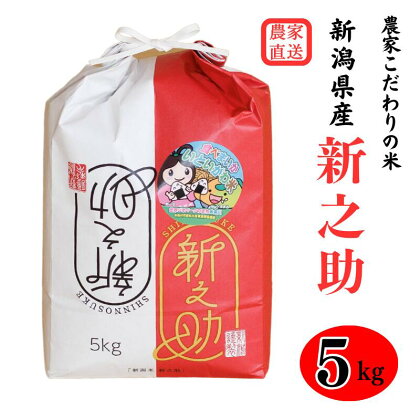 米 新之助 白米【令和5年産】5kg×1袋 新潟県 糸魚川産 艶コクと甘みあふれる米 真心こめて作った自信作 農家直送 大山農場 糸魚川産 お取り寄せ しんのすけ お弁当 おにぎり 新潟米 ほんのり甘い きらめく大粒 米どころ