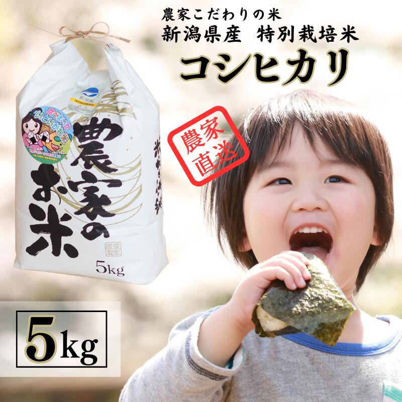 【ふるさと納税】米 新潟コシヒカリ 白米【令和5年産】 5kg×1袋 特別栽培米 甘みが口の中で広がる 真心込めて作った自信作 こしひかり 農家直送 大山農場 新潟県産 糸魚川産 美味しい 農家自慢 甘い お米 精米 おにぎり お弁当 新潟米 米どころ