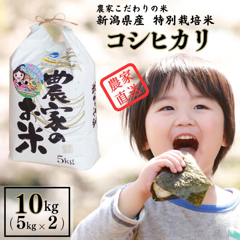 【ふるさと納税】米 新潟コシヒカリ 白米【令和5年産】10k