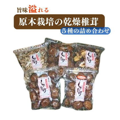 原木栽培の乾燥椎茸5種の詰め合わせ（どんこ 小粒どんこ こうしん スライス 得用）【新潟県 糸魚川 しいたけ シイタケ 香信】