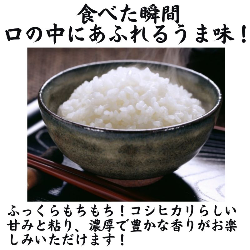 【ふるさと納税】米 白米 米5kg【定期便】新潟県産 コシヒカリ 5kg×3回 毎月お届け 計15kg 令和5年産 糸魚川産『いちのまい』清らかな湧水と澄んだ空気に育まれた恵みの米 プロが認めたうまい米 新潟米 ふっくらもちもち 農家直送 精米 おにぎり お弁当 3ヶ月定期便