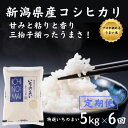 【ふるさと納税】6ヶ月定期便【令和5年産新米】新潟県産コシヒカリ「特選いちのまい」5kg×6回 毎月お届け 計30kg 清らかな湧水と澄んだ空気にはぐくまれた恵みの米 新潟産こしひかり5kg プロが認めた美味い米 ふっくらもちもち 農家直送 新潟米 精米 白米 おにぎり お弁当･･･