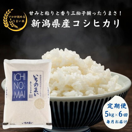 米 白米 米5kg【定期便】新潟県産 コシヒカリ 5kg×6回 毎月お届け 計30kg 令和5年産 糸魚川産『特選いちのまい』清らかな湧水と澄んだ空気に育まれた恵みの米 プロが認めたうまい米 新潟米 ふっくらもちもち 農家直送 自慢 精米 おにぎり 弁当 6ヶ月定期便