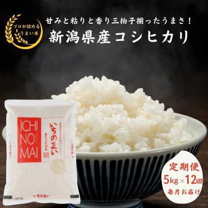 米 白米 米5kg【定期便】新潟県産 コシヒカリ 5kg×12回 毎月お届け 計60kg 令和5年産 糸魚川産『いちのまい』清らかな湧水と澄んだ空気に育まれた恵みの米 プロが認めたうまい米 新潟米 ふっくらもちもち 農家直送 精米 おにぎり お弁当 12ヶ月定期便