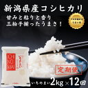 【ふるさと納税】12ヶ月定期便【令和5年産新米】新潟県産コシヒカリ「いちのまい」2kg×12回 毎月お届け 計24kg 清らかな湧水と澄んだ空気に育まれた恵みの米 新潟産こしひかり2kg プロが認めた美味い米 ふっくらもちもち 農家直送 新潟米 精米 白米 おにぎり お弁当･･･