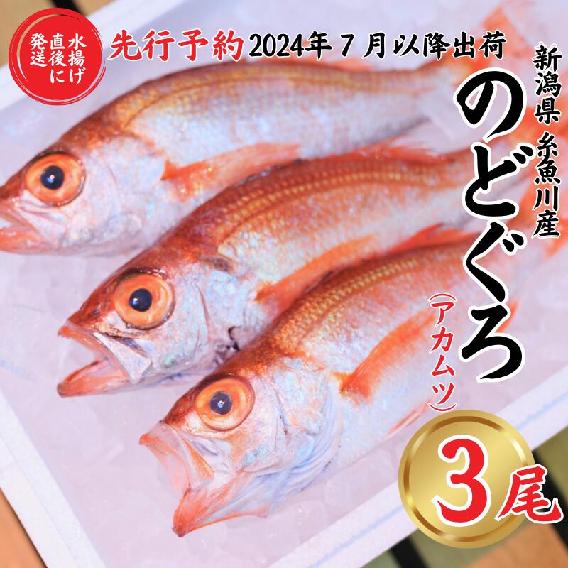 【ふるさと納税】【2024年7月出荷予定】天然のどくろ (アカムツ) 3尾 約1kg 鮮度抜群！水揚げ直後に発...