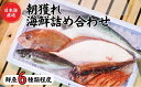 【ふるさと納税】【魚種6種程度】日本海直送 旬の鮮魚詰め合せ鮮魚ボックス 魚のプロが選んだ厳選魚 新潟 糸魚川 能生漁港から朝獲れ新鮮な魚をお届け 生 (国産 天然 海鮮 お刺身 魚介類セット 鮮魚BOX 便利 簡単 お手軽) 魚正【能登半島地震復興支援】