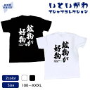 【ふるさと納税】地域限定オリジナル Tシャツ『いとT』-鉱物が好物- いといがわTシャツコレクション 男女兼用 綿100% メンズ レディース キッズ ファッシ...