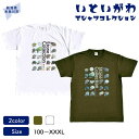【ふるさと納税】地域限定オリジナル Tシャツ『いとT』-Stone Collection- いといがわTシャツコレクション 男女兼用 綿100% メンズ レディ...