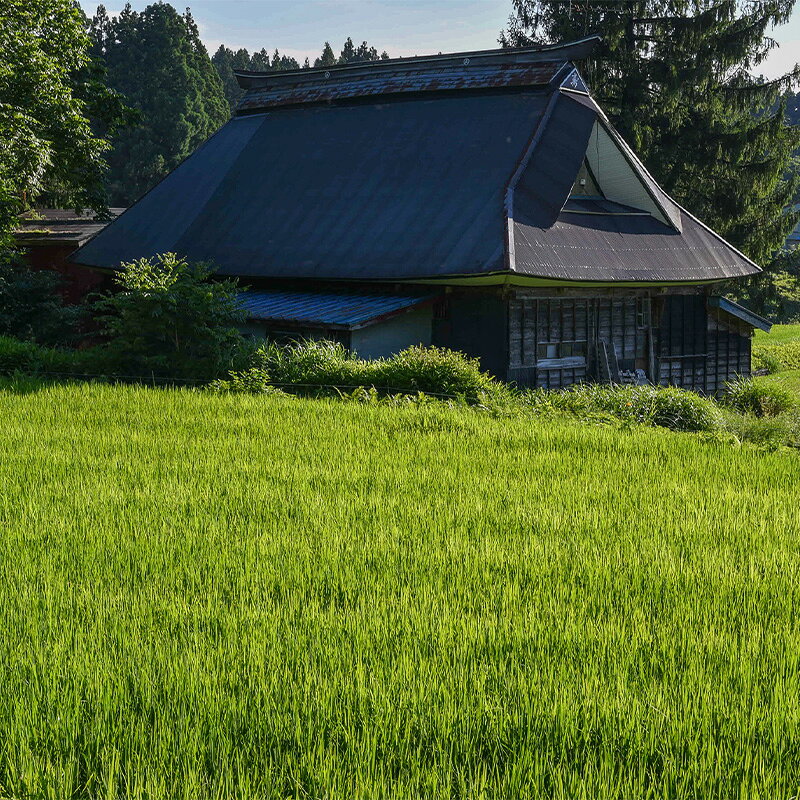 【ふるさと納税】1日1組限定｜“一村貸し”で過ごす 宿屋『堂道』宿泊チケット 1泊2日 一村貸し 古民家宿 新潟県糸魚川市 田舎暮らし体験 山間の宿 家族旅行におすすめ 田舎ステイ 里山宿泊体験