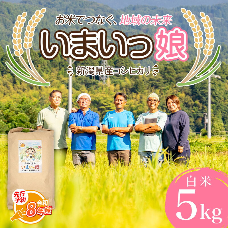 【令和8年産新米】先行予約 新潟県産コシヒカリ いまいっ娘 5kg 【白米 新潟県 糸魚川市産 安心 安全 美味しいお米 新潟米 今井産 米 精米 こしひかり おにぎり お弁当 におすすめ お米 おこめ コメ 2026】