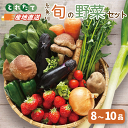 【ふるさと納税】旬の野菜セットを直売所からお届け! (8〜10品詰め合わせ) 大根・白菜・春菊・アスパラ菜・しいたけ・ほうれん草・ふきのとう・タラの芽・山菜・に...