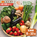 【ふるさと納税】【選べるお届け回数】旬の野菜セットを直売所からお届け ! (8〜10品詰め合わせ) 大根・白菜・春菊・アスパラ菜・しいたけ・ほうれん草・ふきのと...
