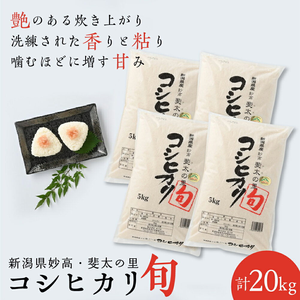 【ふるさと納税】【令和5年産米】新潟県 妙高 産 斐太の里 コシヒカリ「旬」20kg 【発送時期が選べる】艶 香り 粘り 甘み 低温倉庫保管