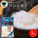 36位! 口コミ数「0件」評価「0」新潟県 矢代産 コシヒカリ 5kg 白米 精米 ブランド米 産地直送 送料無料 お取り寄せ 新潟県 妙高市