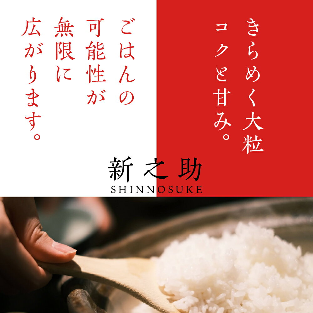 【ふるさと納税】【発送時期が選べる】米 定期便 新之助 しんのすけ 10kg (5kg×2袋) ×3ヶ月 計30kg 令和5年産 登場 新潟県 上越 妙高産 白米 お取り寄せ 送料無料